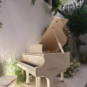 팜파스13 그랜드피아노